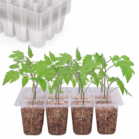 Seeding-Tray Pot Flower-Pot Bonsai Grow-Box Succulent-Plants Plastic Green 12 Cells