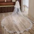 Import Shenglan Customize Two layer Bridal Veil European Fashion 4*3 meter Long Lace Bridal Veils With Comb Bride Hair Accessories from China