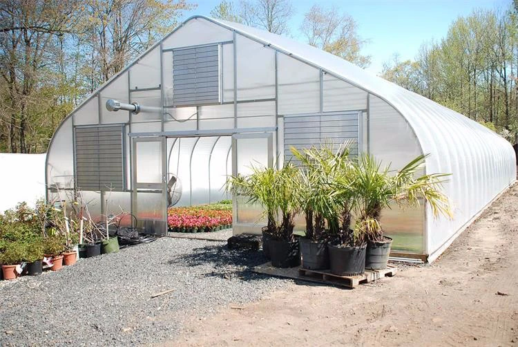 Skyplant The commercial agricultural cheapest Plastic Fabric Film Low Tunnel Greenhouse