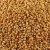 Import Sorghum from South Africa