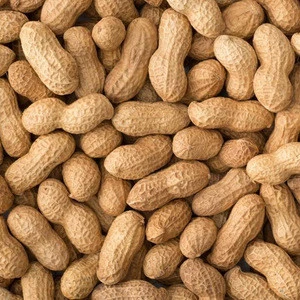 Standard Ingredient Delectable Taste Peanuts with Optimum Freshness