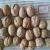 Import Supply Chinese Walnut InShell 10111205 in bulk from China