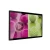 Import SYET 19 Inch wall mounted lcd advertising screen /display/monitor China cheap ship free from China