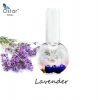 Taiwan Ostar Nutrition Dry Flowers Nail Cuticle Oil For Nails Care