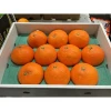 Thin-skinned and sweet the mandarin prices for wholesale