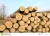 Import Timber  Logs : Timber Raw Materials>>Logs from South Africa