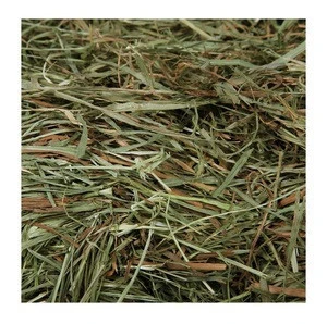 Timothy hay for animal feed Wholesale supplier 100% High quality cheap rate Bulk Quantity