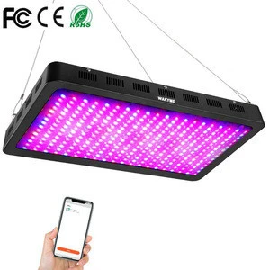 Travor high power 3000w dual chip plant lamp led grow light full spectrum for greenhouse indoor plants seed veg bloom
