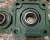 Import UCF205 UCF206 Pillow Block Bearing Square Ball Bearing Units from China