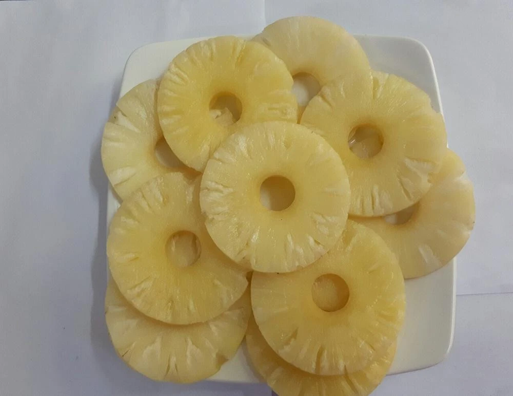Vietnam Cayenne pineapple weight 565 Gram Mini slice Canned pineapple