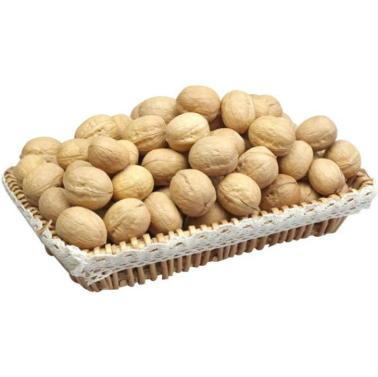 Walnut walnut kernels 2020 crop export price