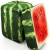 Import Fresh Water Melons in great discounts from Germany