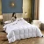 Import Weight Duvet Comforter Goose Feather Duvet from China
