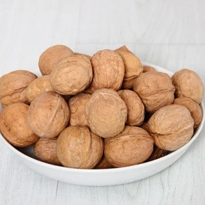 Whole Walnuts in shell