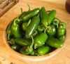 wholesale african food/JALAPENO