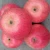 Import Wholesale China Fresh Custard Apple Fruit from China