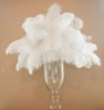 Wholesale Natural Decorative White Ostrich Feathers For Wedding Centerpieces