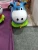 Import Wholesale  strong quality  kids Jumping animal  toy   Ride on animal from China
