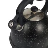 Wholesale Water Kettle Fast Boiling Stainless Steel Kettle Color Painting Whistling Coffee Tea Water Kettle Outdoor