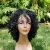 Import wholesale wig vendors heat resistant fiber afro kinky short curly synthetic hair wigs for black women from China