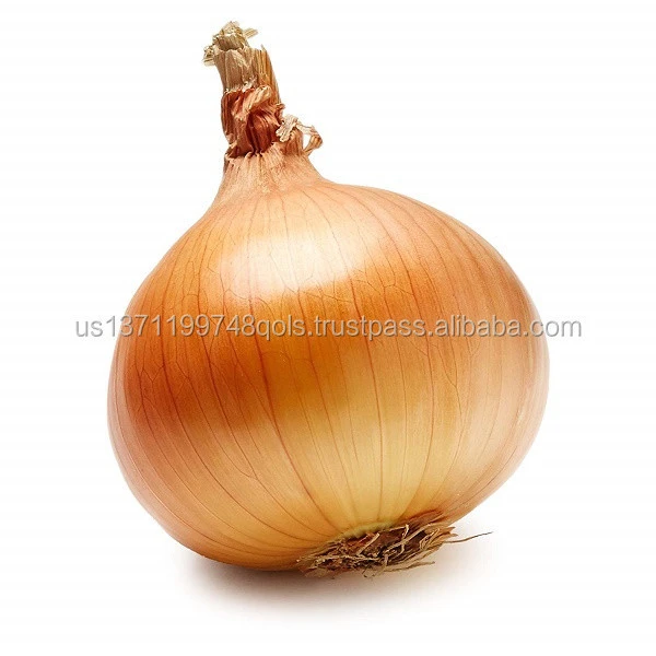 Yellow Onion for Kitchen Use for Sale/Fresh Yellow Onion