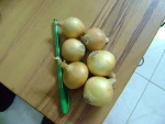 yellow onion