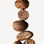 Carefully Processed Dried Nutmeg Whole Seeds Bulk Market Supply Strong Aroma Nutmeg Trade Ready