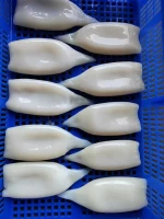Frozen squid tube