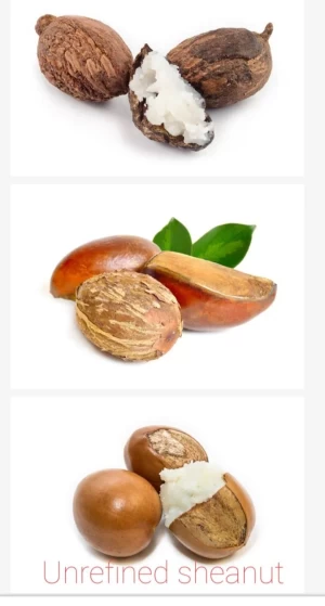 Top Grade Unprocessed Shea Nut