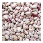 Newest Crop Organic Kidney Pinto Beans Long and Round Light Speckled Bulk Packaging