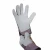 Import Working gloves from Pakistan
