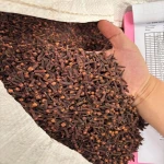 Hot Selling High Quality Cloves Seed Spices Ready to be Exported Premium Quality