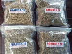 Quality Arabica & Robusta Coffee Beans From Kenya for Export