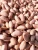 Import Peanut from Iran