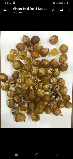 Soapnuts and Soapnuts seedless shells