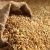 Import High Quality Barley Grain Seeds Protein-Filled Food for Animal  Feed for  Cattle Horses Packaged in Bag from Germany