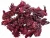 Import Wholesale Dried Hibiscus flowers from Nigeria