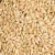 Import High Quality Barley Grain Seeds Protein-Filled Food for Animal  Feed for  Cattle Horses Packaged in Bag from Germany