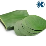 Banana Leaf