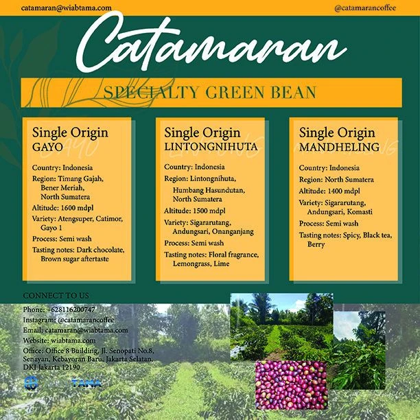 Buy Arabica Green Bean Coffee from CV Wiabtama Maju Bersama, Indonesia