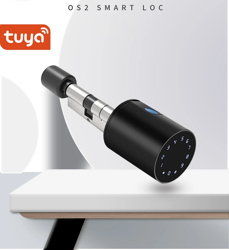 Buy Black Smart Key Low Battery Alert Bluetooth Fingerprint Pin Code ...
