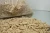 Import WOOD PELLET from Germany