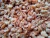 Import dried shrimp from Indonesia