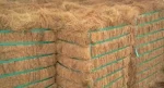 Cocofiber , Cocopeat & Cocopeat Polibag
