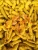 Import Turmeric Finger from India