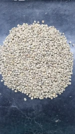 Special Arabica Coffee - 86