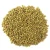 Import Premium Quality Lentils – Red, Green, Yellow & Brown | Bulk Wholesale Supply from Kenya