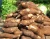 Import Top Quality Organic Fresh Cassava for Sale from South Africa