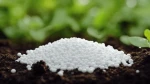 Urea 46% Prilled (Fertilizer Grade)