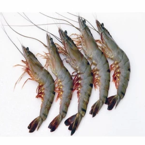Seafood Exporter Vannamei Shrimp Vannamei Price Frozen Shrimp